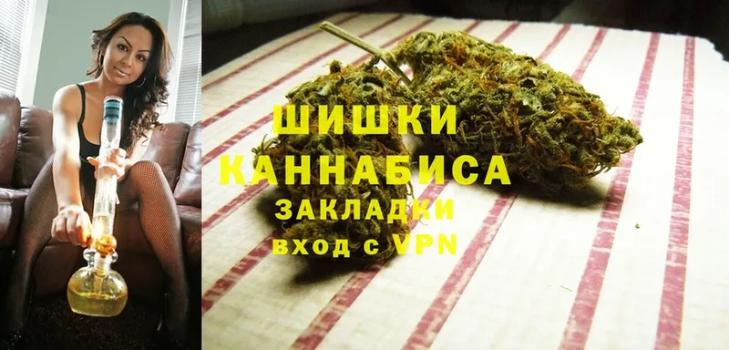 где купить наркоту  Кинель  Бошки Шишки THC 21% 